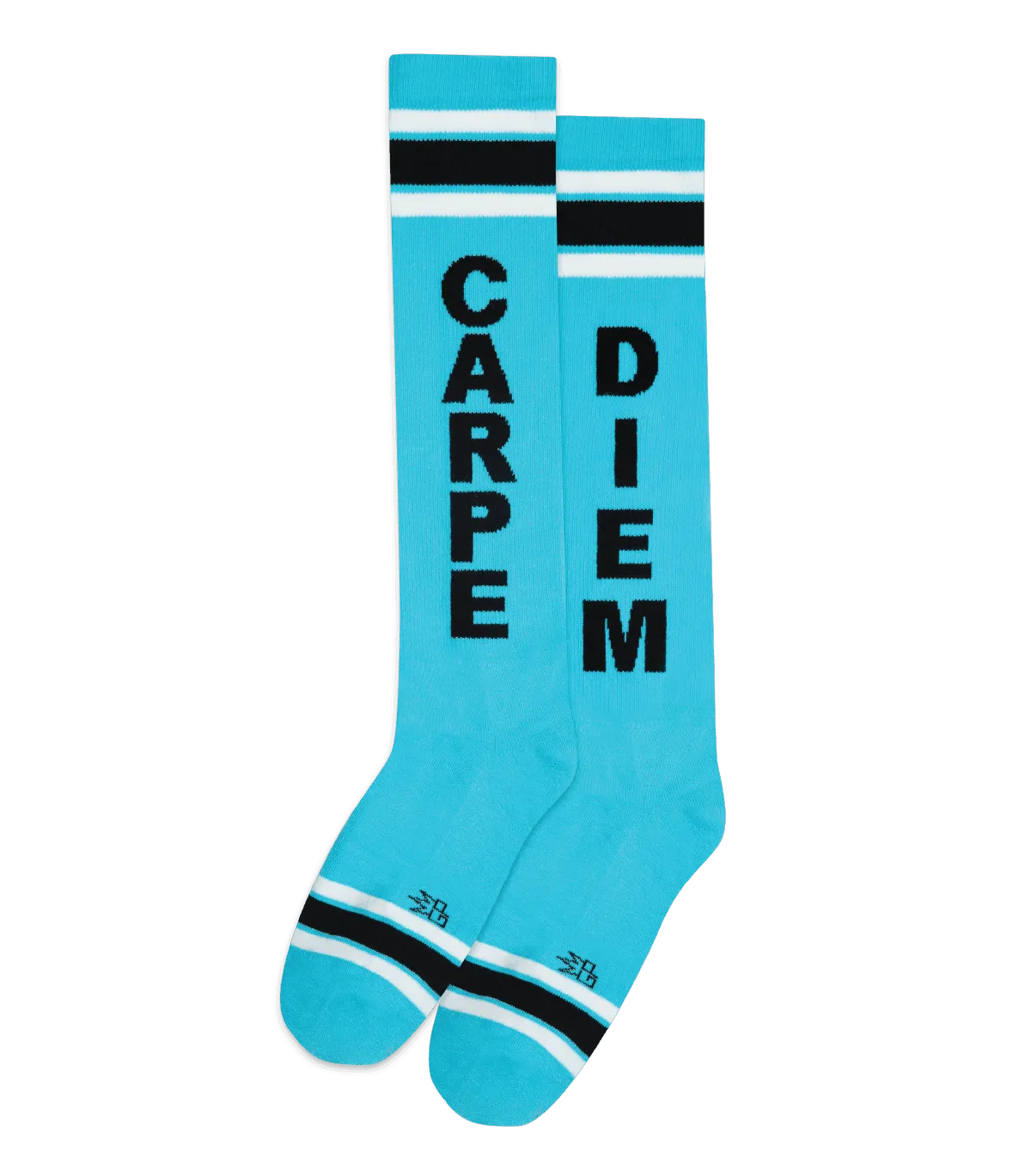 Carpe Diem | All Gender Knee-high